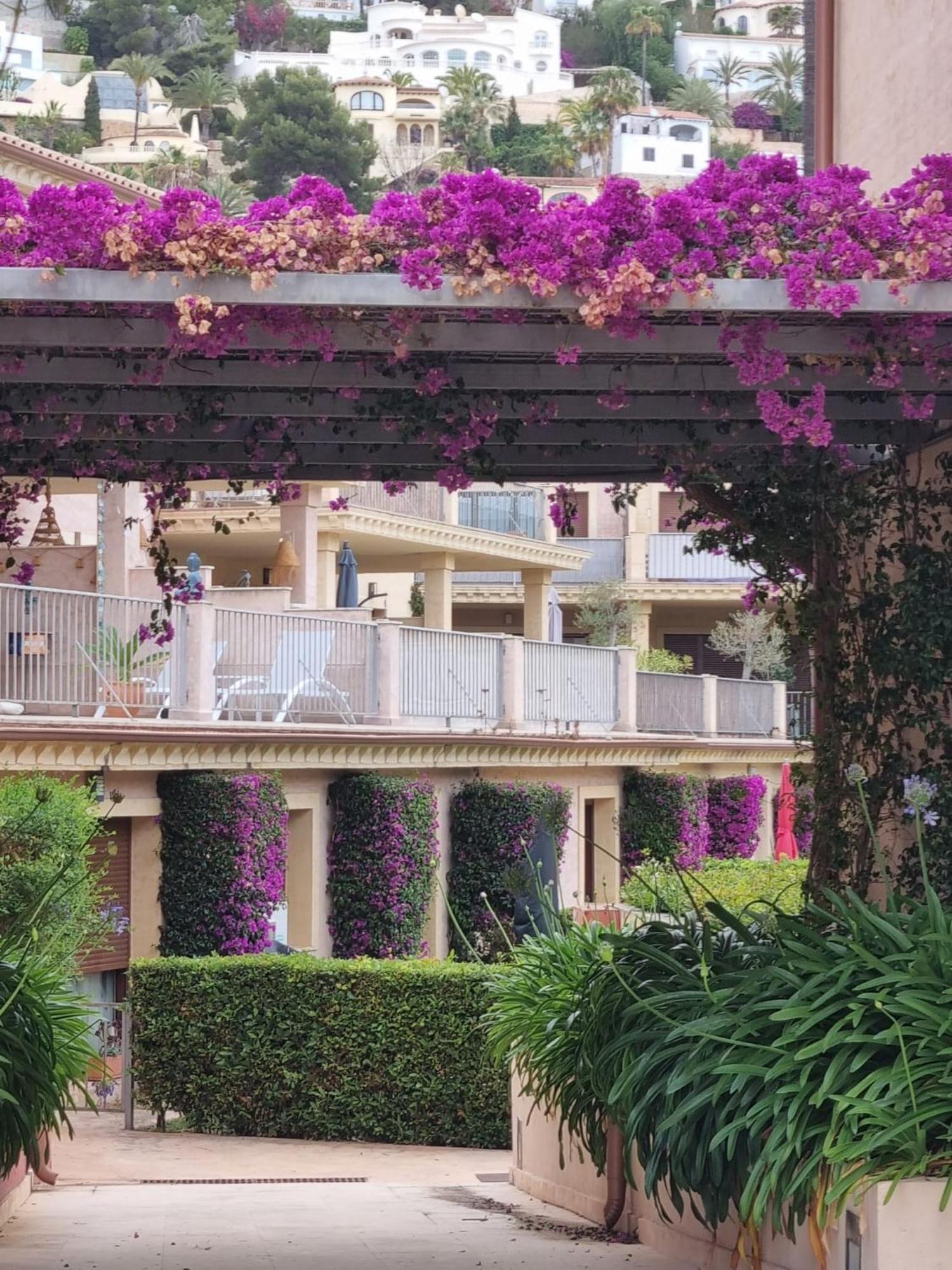 Casa Violette Daire Moraira Dış mekan fotoğraf